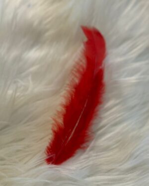 Pena Massageadora Estímulos