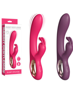 Vibrador Rabbit Recarregável com 10 Modos de Vibração VIPMIX PG204